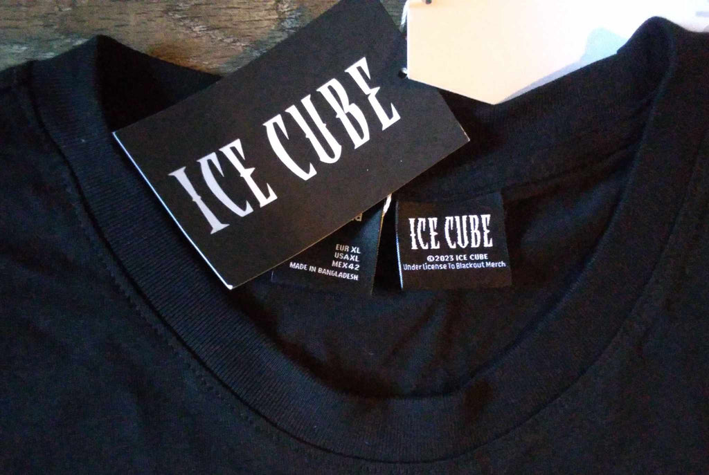 Ice Cube t shirt "Today was a good day"