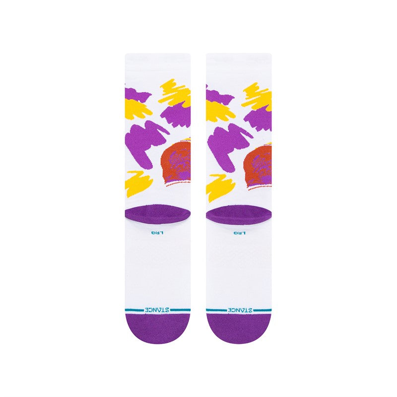 NBA legends socks - Lebron James